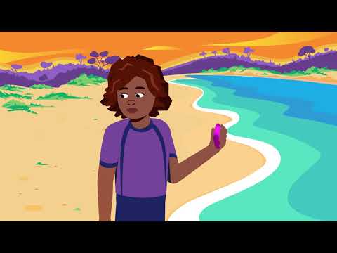 Vaping and the environment