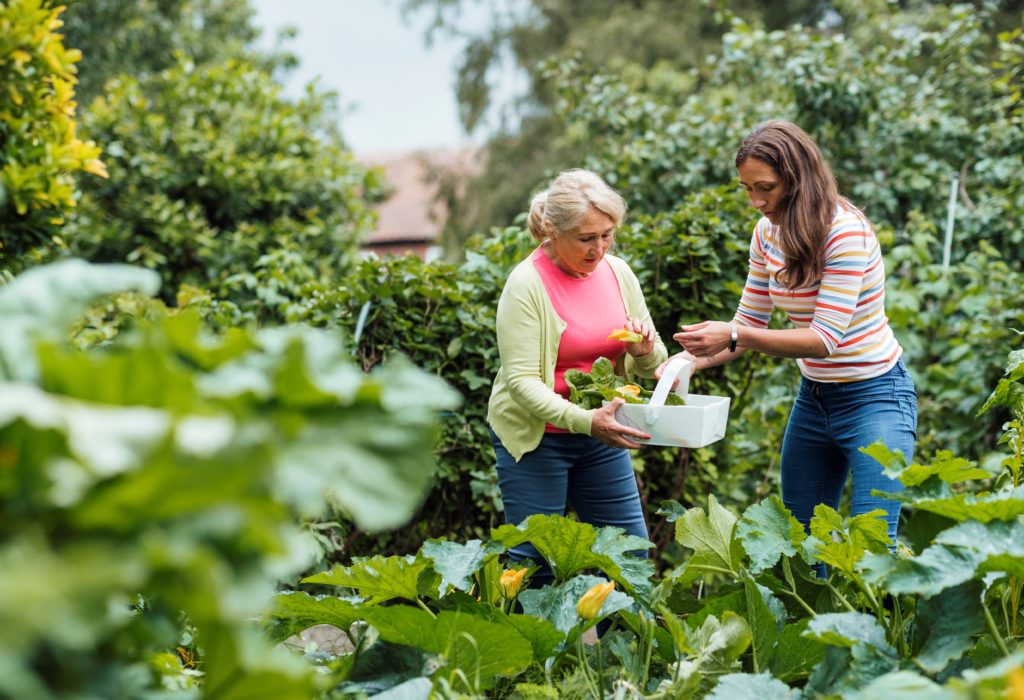 Daughter caring for a loved one while working in the garden.