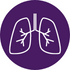 lung icon