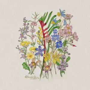 10 X Wildflower Blank Cards