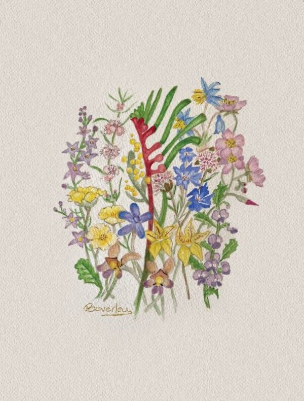 10 X Wildflower Blank Cards